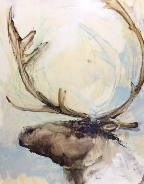 haba.antlers3