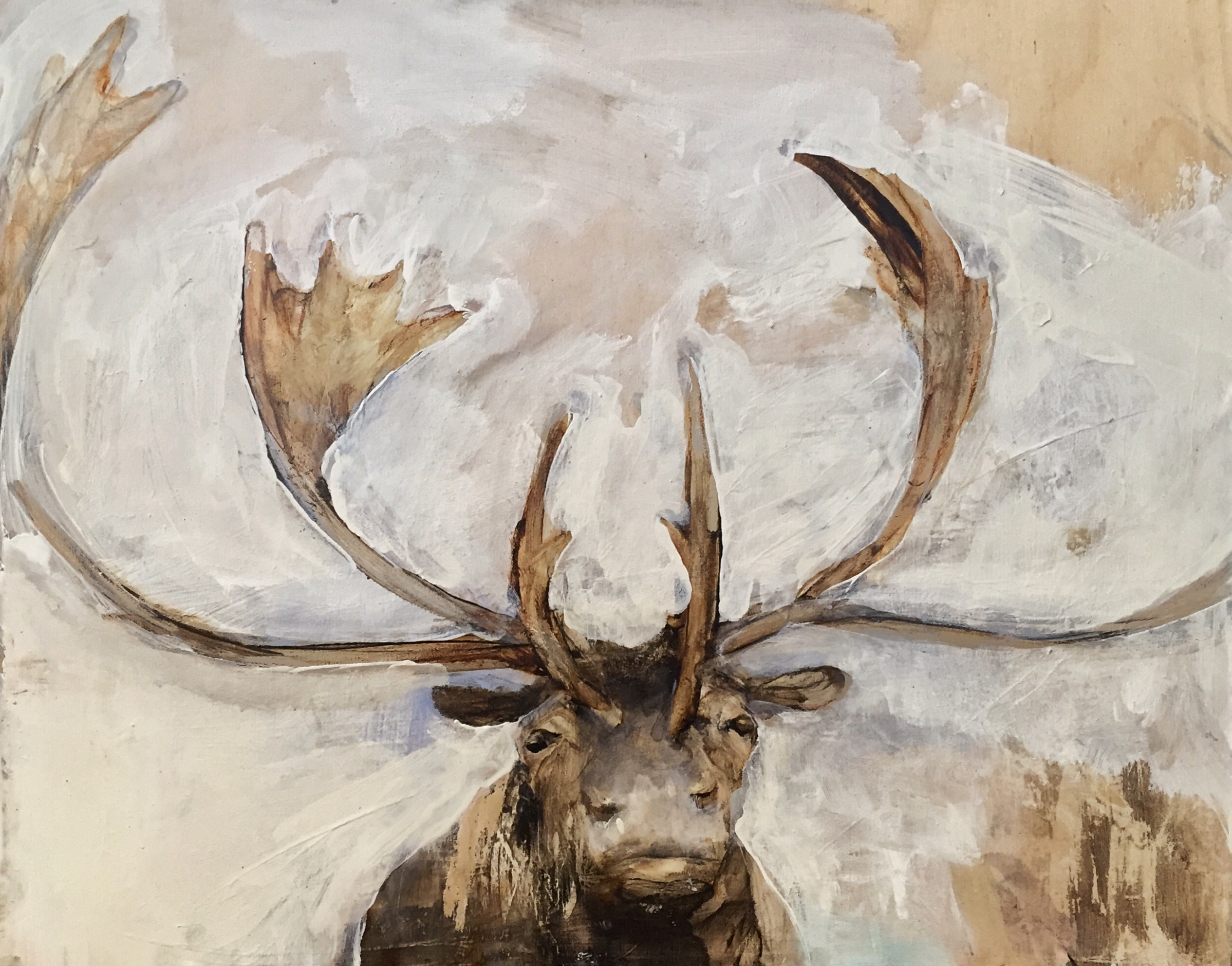 haba.antlers4