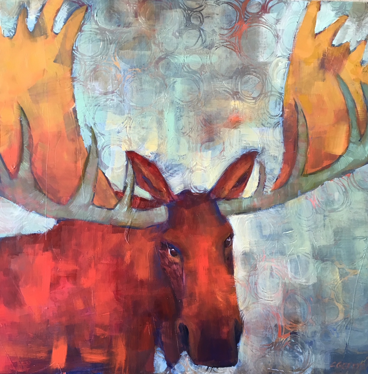Geerts.Red Moose