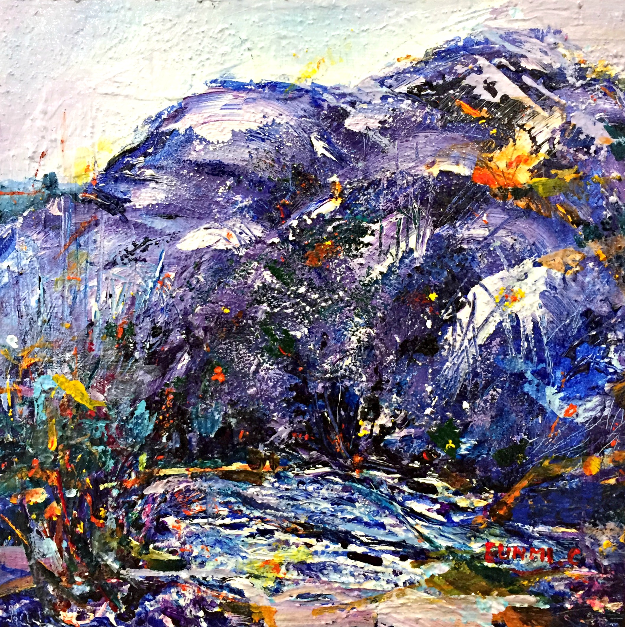 Conacher.Panorama Winter