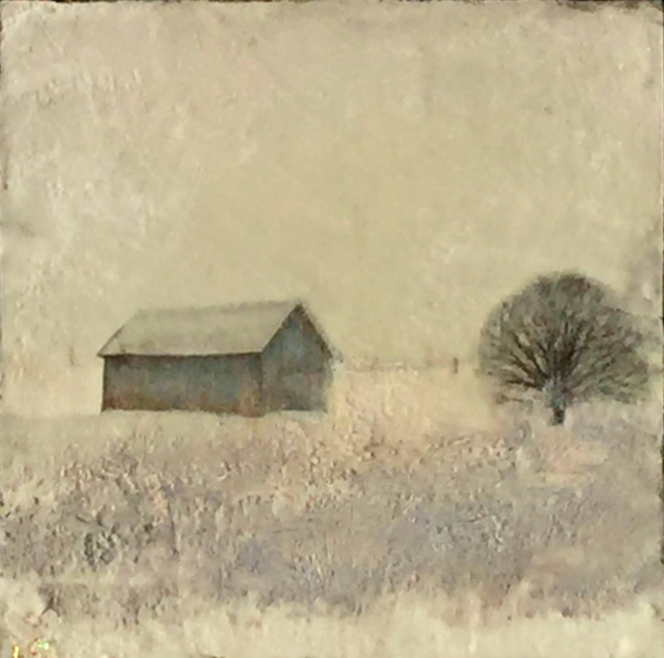 LaForge.The Old Blue Shed