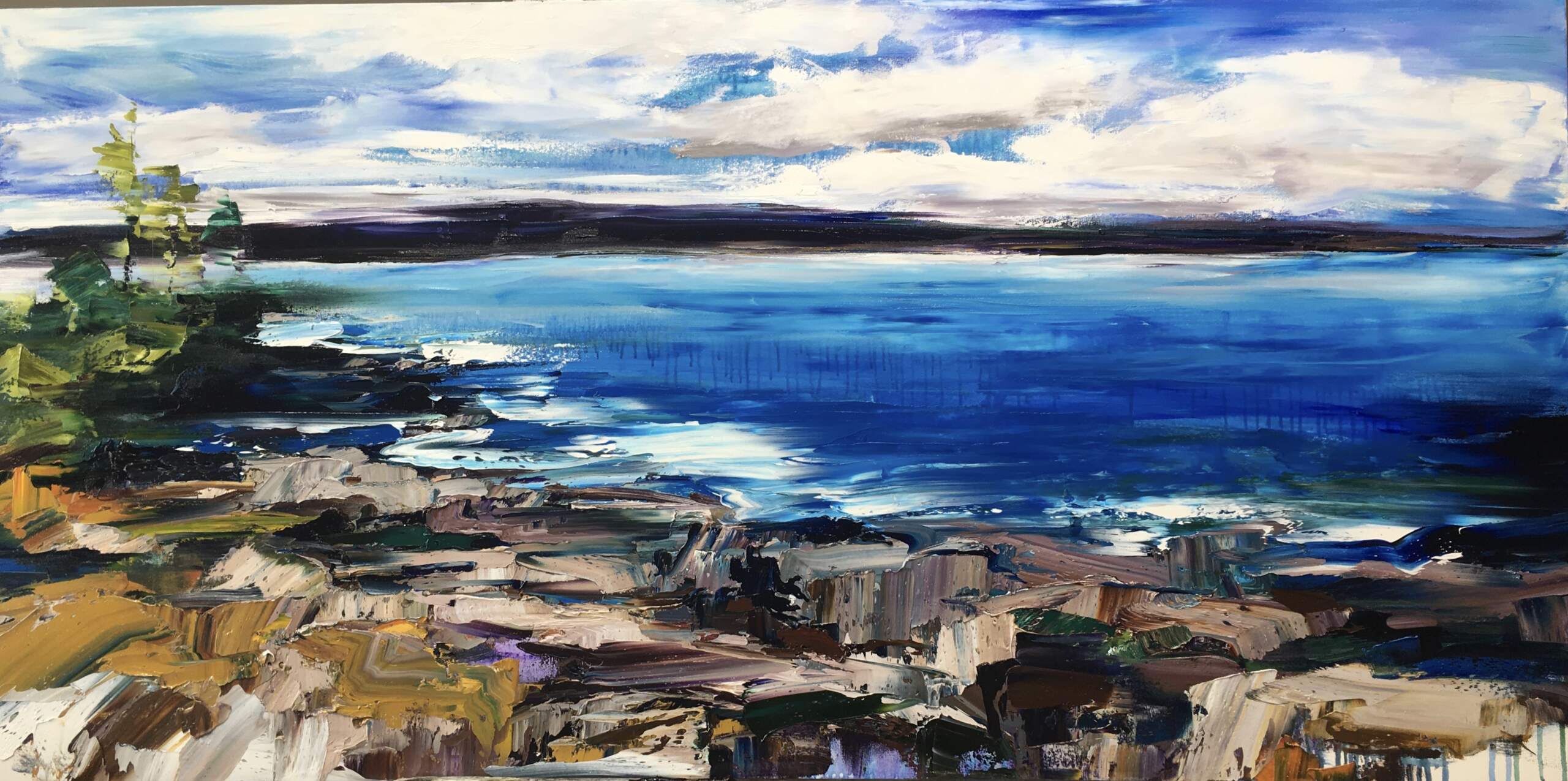 west coast wanderings 4 30x60 271118