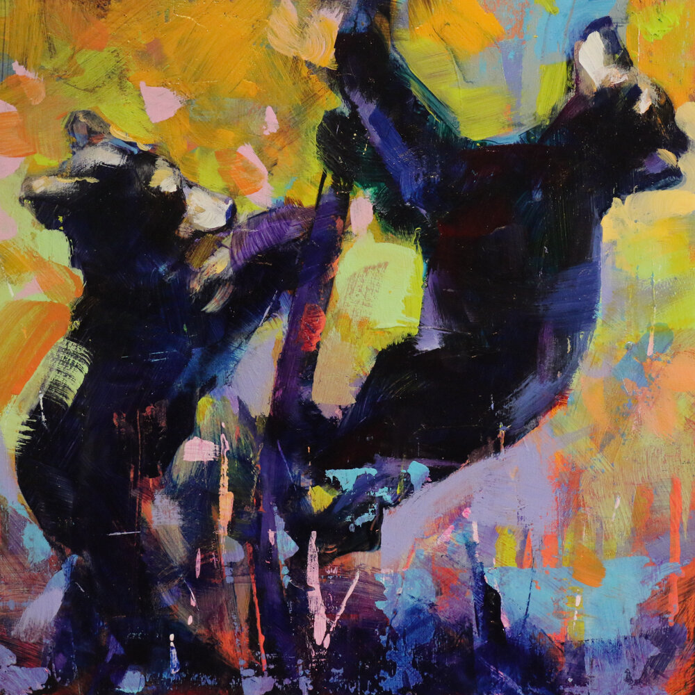 Bear Cubs 7, acrylic black bear cub painting by Verne Busby | Effusion Art Gallery + Glass Studio, Invermere BC