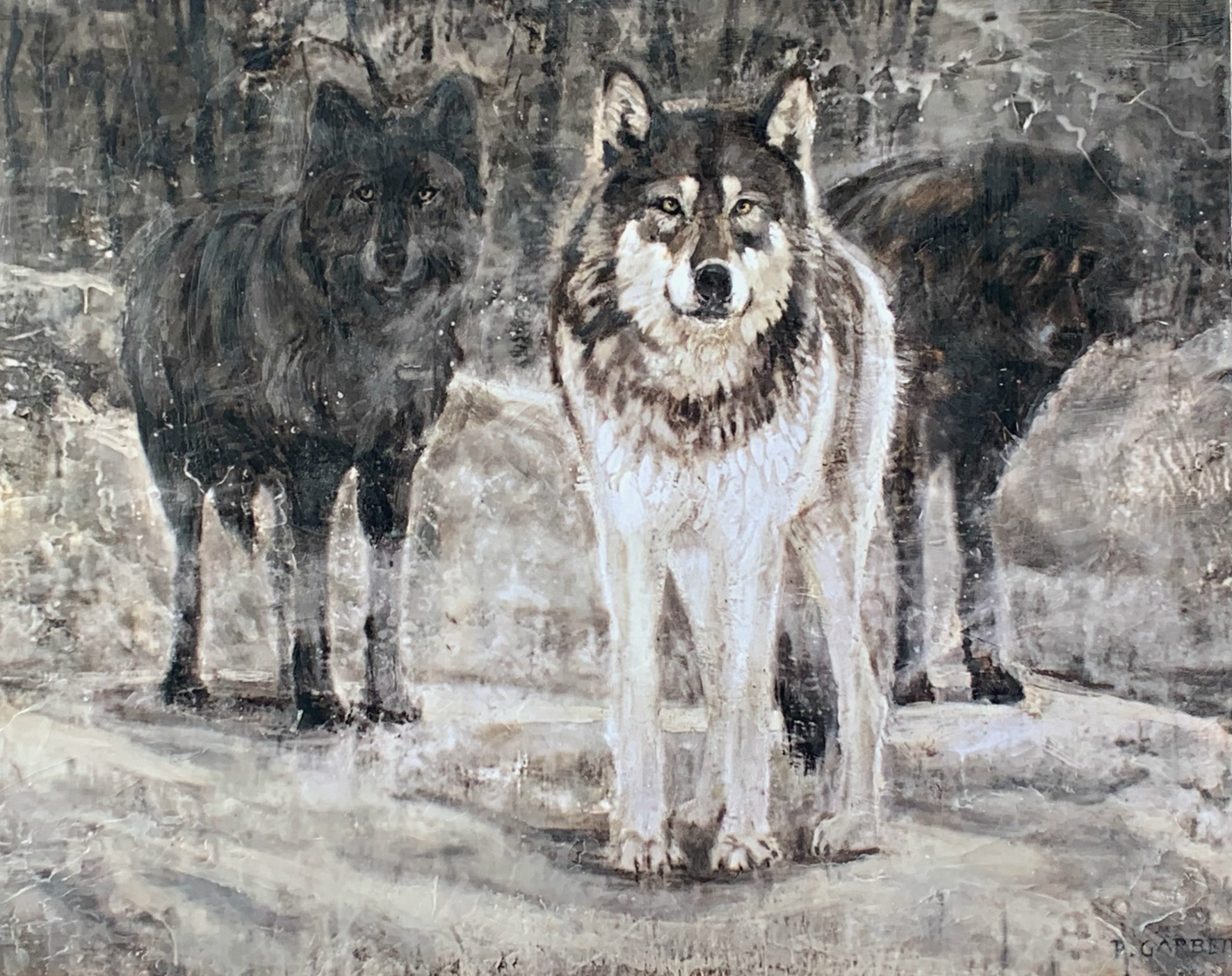 Three Wolves 63-02, encaustic bear cub painting by Paul Garbett | Effusion Art Gallery + Cast Glass Studio, Invermere BC