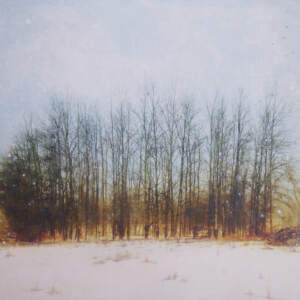 The Gathered, mixed media landscape painting by Lori Bagneres | Effusion Art Gallery + Cast Glass Studio, Invermere BC