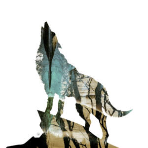 Florencia Bay Wolf - Gold Shimmer by Stacey Bodnaruk | Effusion Art Gallery + Cast Glass Studio, Invermere BC