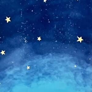 To the Moon and Past the Stars 21, original encaustic black bear painting by Brenda Walker at Effusion Art Gallery in Invermere, BC.