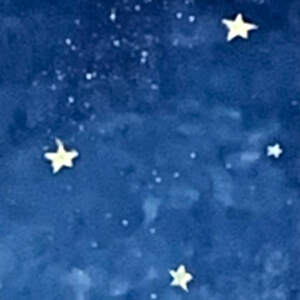 To the Moon and Past the Stars 22, original encaustic fox painting by Brenda Walker at Effusion Art Gallery in Invermere, BC.