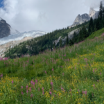 Bugaboo Glacier in the summer by Rock Luyendyk