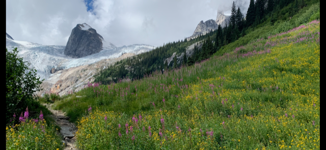 Bugaboo Glacier in the summer by Rock Luyendyk