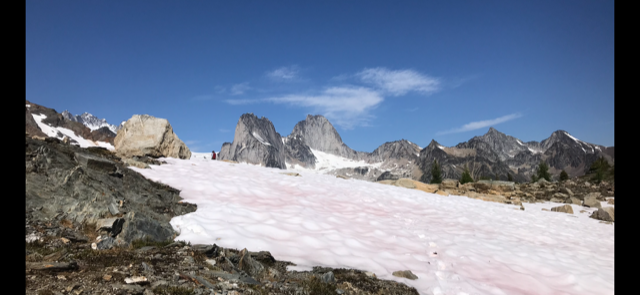 Bugaboos Silver Basin, photo by Rick Luyendyk | Effusion Art Gallery, Invermere BC