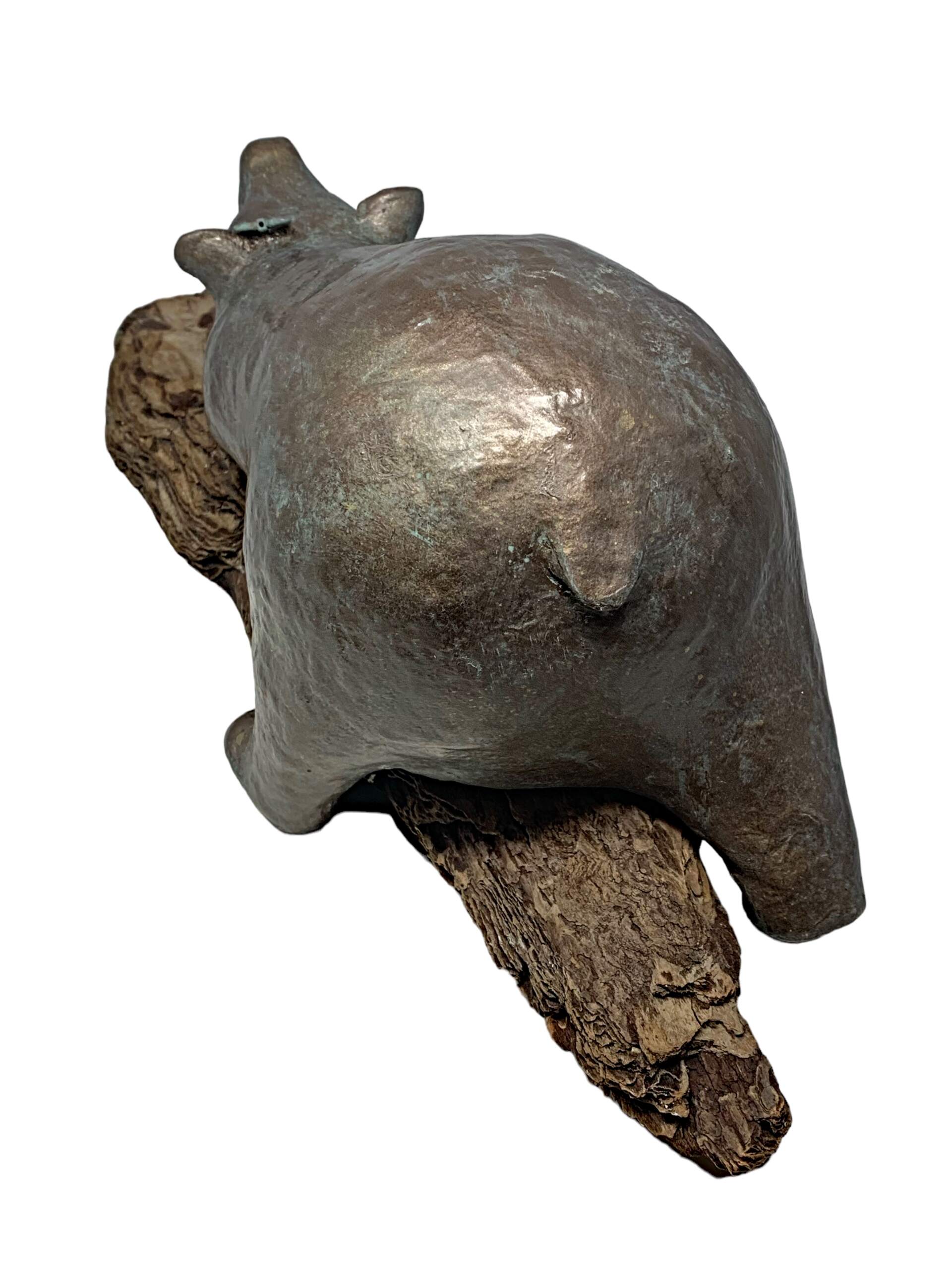 My Happy Place, cute mixed media bear sculpture relaxing on driftwood by Karin Taylor at Effusion Art Gallery in Invermere, BC.