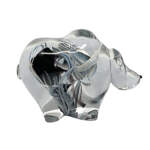 Galaxy Bear 9, blown glass bear by Hayden MacRae at Effusion Art Gallery in Invermere, BC