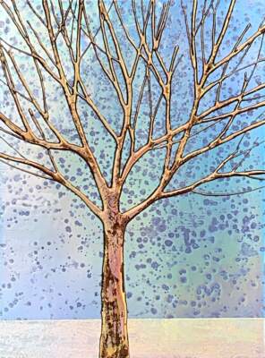 Twilight, mixed media tree painting by Sarah Moffat at Effusion Art Gallery in Invermere, BC.