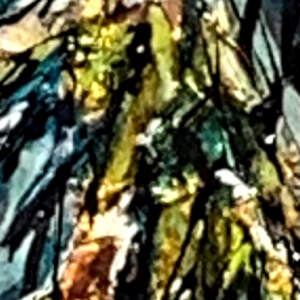 Uncharted, mixed media narrow tree painting by Canadian artist David Zimmerman | Effusion Art Gallery in Invermere, BC