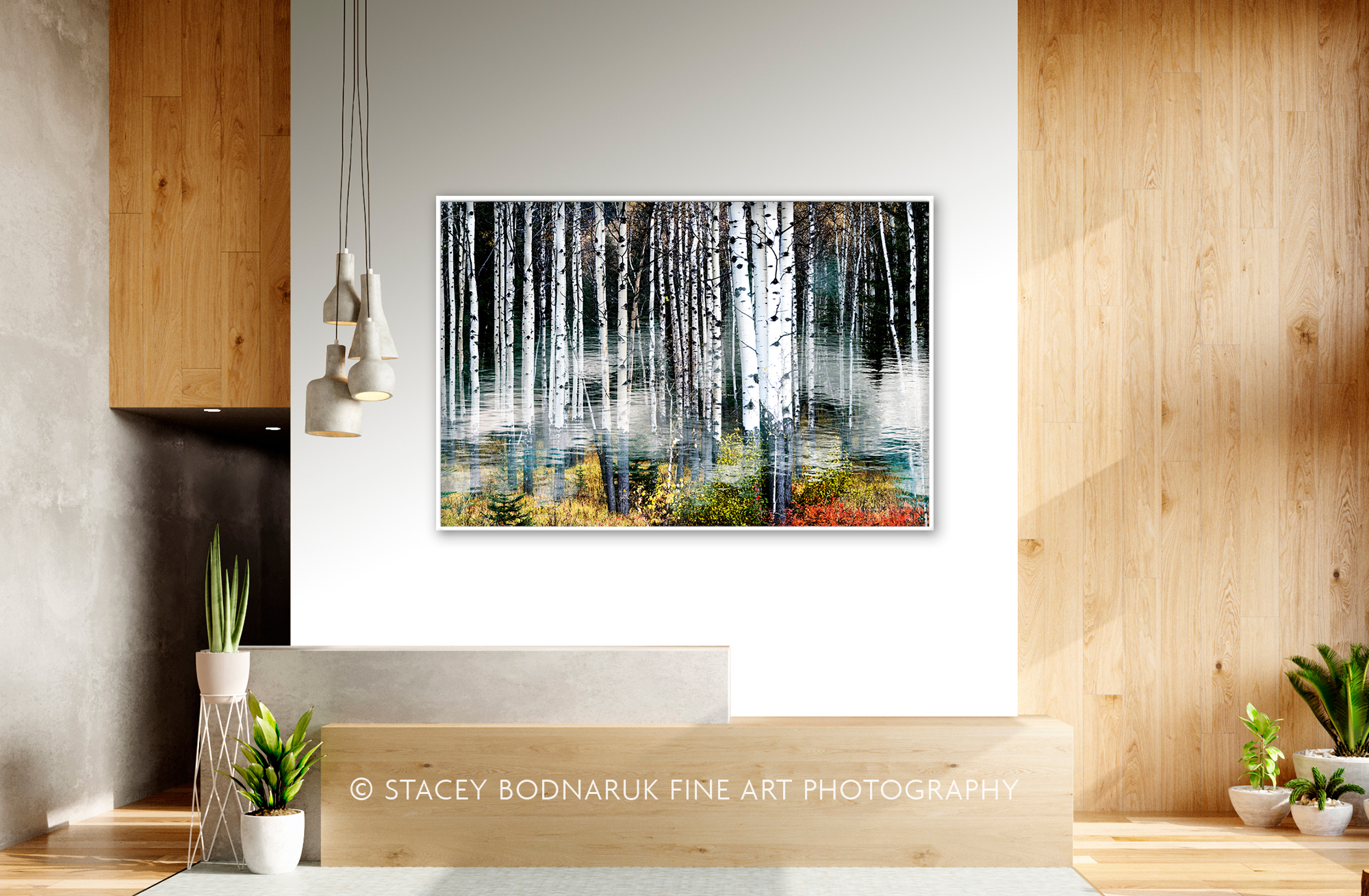 Nature's Embrace, original landscape photography by Stacey Bodnaruk at Effusion Art Gallery in Invermere, BC
