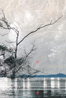 Red Sun Rising, original composite photograph by Canadian artist Stacey Bodnaruk at Effusion Art Gallery in Invermere, BC.