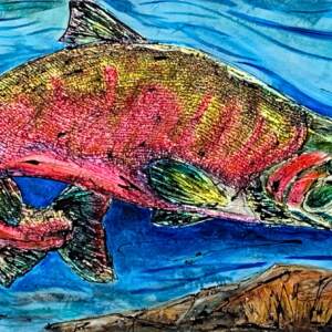 Original mixed media painting of a salmon hunting in clear blue water by David Zimmerman.
