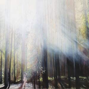 Original mixed media painting of light filtering through a forest of tall trees by Michaela Hoppe.