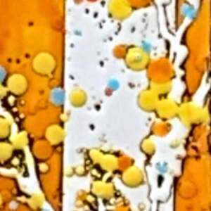 Pumpkin Spice 3 24115