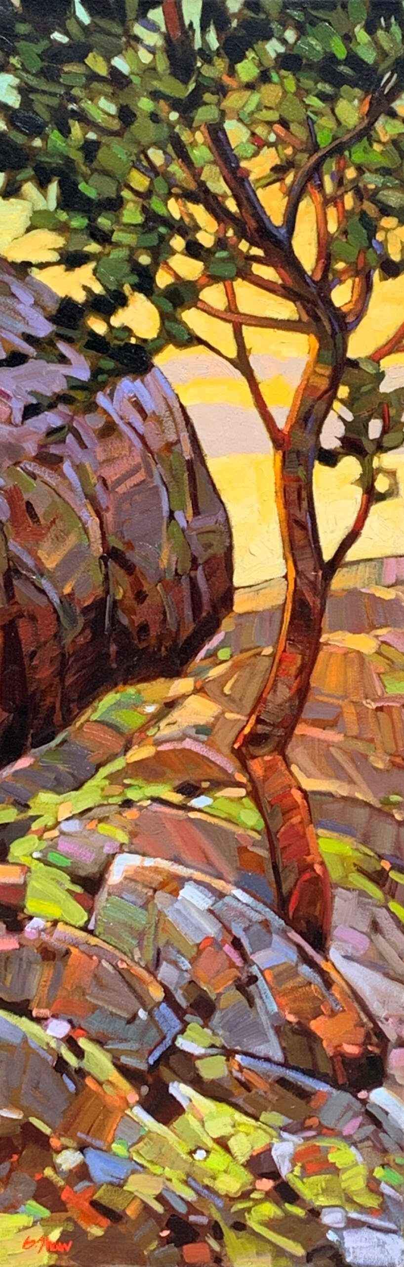 Linley Valley Arbutus, original oil arbutus tree landscape painting by Canadian artist Graeme Shaw at Effusion Art Gallery in Invermere, BC.
