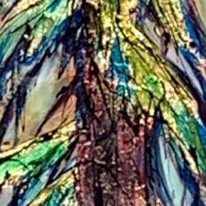 Not Long Ago, mixed media tree painting by Canadian artist David Zimmerman at Effusion Art Gallery in Invermere, BC.
