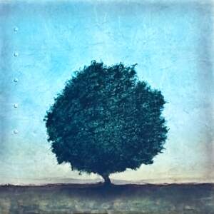 Resolute, original mixed media tree painting by Canadian artist David Graff at Effusion Art Gallery in Invermere, BC