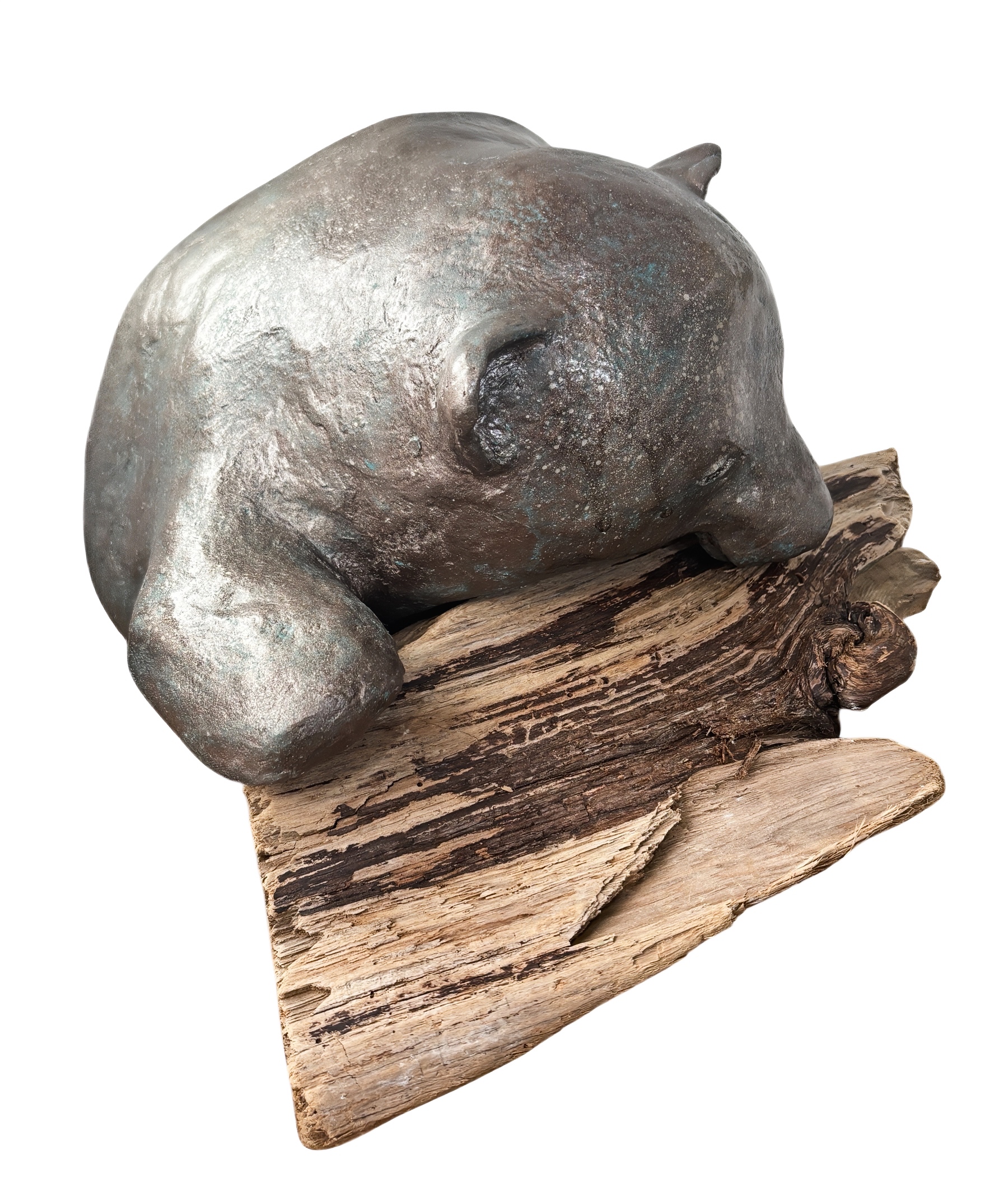 Nap Attack Cub, original mixed media sculpture of a cute bear cub napping on a piece of driftwood by Canadian artist Karin Taylor at Effusion Art Gallery in Invermere, BC.