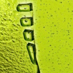 Summer, one of a kind spring green cast glass panel by Canadian artist Heather Cuell at Effusion Art Gallery in Invermere, BC.Summer, one of a kind spring green cast glass panel by Canadian artist Heather Cuell at Effusion Art Gallery in Invermere, BC.
