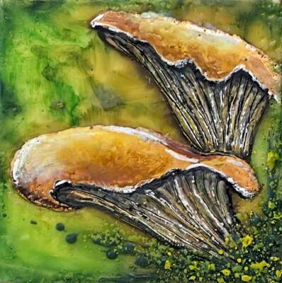 Chanterelle Music, original mini encaustic mushroom painting by Canadian artist Cindy Obuck at Effusion Art Gallery in Invermere, BC.