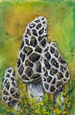 Morel Sentinels, original mini encaustic mushroom painting by Canadian artist Cindy Obuck at Effusion Art Gallery in Invermere, BC.