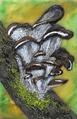 Oysters of the Wood, original mini encaustic mushroom painting by Canadian artist Cindy Obuck at Effusion Art Gallery in Invermere, BC.
