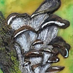 Oysters of the Wood, original mini encaustic mushroom painting by Canadian artist Cindy Obuck at Effusion Art Gallery in Invermere, BC.