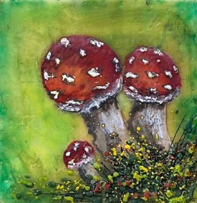 Trio of Fly Agaric, original mini encaustic mushroom painting by Canadian artist Cindy Obuck at Effusion Art Gallery in Invermere, BC.