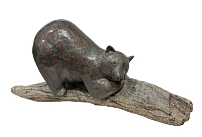 Summer Vibes are Here, original mixed media sculpture of a friendly bear sunbathing on a piece of reclaimed driftwood by Canadian artist Karin Taylor at Effusion Art Gallery in Invermere, BC.
