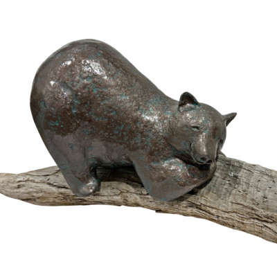 Summer Vibes are Here, original mixed media sculpture of a friendly bear sunbathing on a piece of reclaimed driftwood by Canadian artist Karin Taylor at Effusion Art Gallery in Invermere, BC.