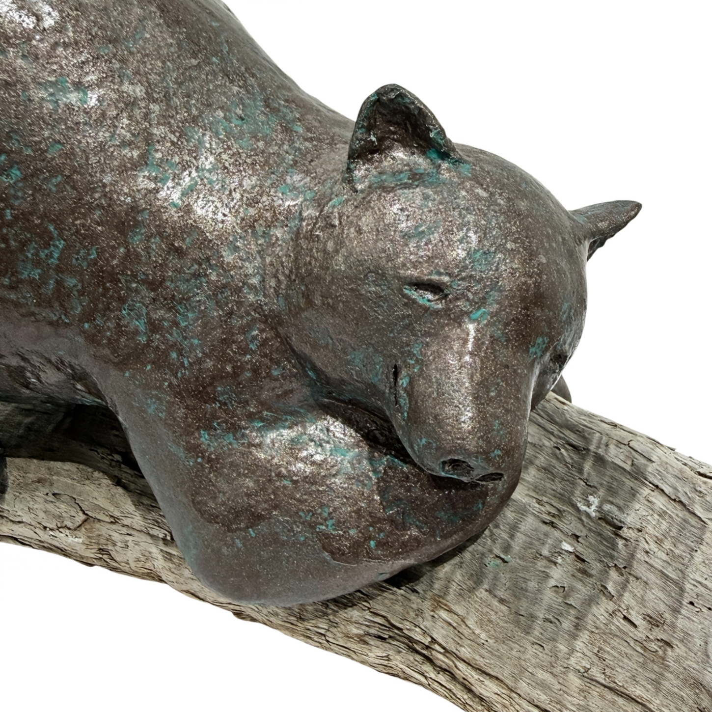 Summer Vibes are Here, original mixed media sculpture of a friendly bear sunbathing on a piece of reclaimed driftwood by Canadian artist Karin Taylor at Effusion Art Gallery in Invermere, BC.
