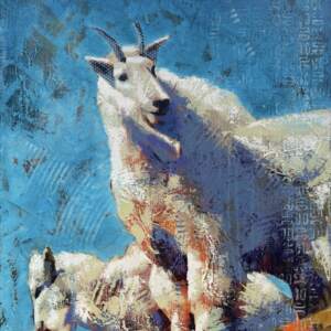 Peak Placement, original acrylic mountain goat painting by Canadian artist John Webster at Effusion Art Gallery in Invermere, BC.