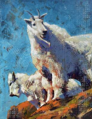 Peak Placement, original acrylic mountain goat painting by Canadian artist John Webster at Effusion Art Gallery in Invermere, BC.