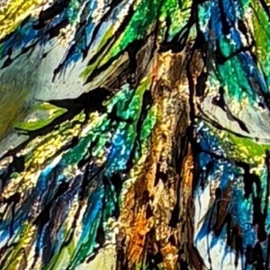 Fullness of Good, original mixed media tree painting by Canadian artist David Zimmerman at Effusion Art Gallery in Invermere, BC.